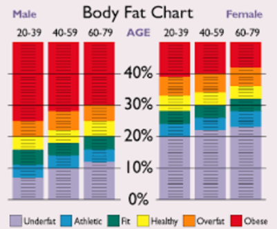 Percentage of Body Fat